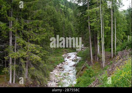 21.06.2019, St. Magdalena, Villnoess, Trentino, Südtirol, Italien, Europa - Gletscherbach und Nadelwald im Naturschutzgebiet Villnoesstal. [Automatisierte Übersetzung] Stockfoto