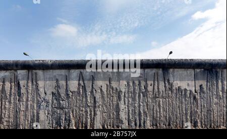 Reste der Berliner Mauer an der Bernauer Straße. In diesem Jahr, am 9. November 2019, wird der Fall der Berliner Mauer zum 30. Jahrestag ihres Falls. [Automatisierte Übersetzung] Stockfoto