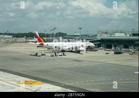 01.03.2019, Singapur, Republik Singapur, Asien - EIN Passagierflugzeug der Fluggesellschaft Philippine Airlines Airbus A330-300 am Flughafen Changi. [Automatisierte Übersetzung] Stockfoto