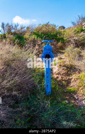 Februar 2020 - Belianes-Preixana, Spanien. Foto eines blauen Wasserhahns für industrielle Bewässerung. Stockfoto