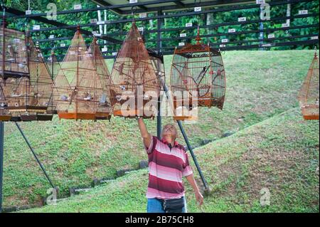 02.12.2018, Singapur, Republik Singapur, Asien - ein älterer Vogelliebhaber hängt einen seiner Vogelkäfige in der Kebun Baru Bird Corner in Ang Mo Kio Town Garden West auf. [Automatisierte Übersetzung] Stockfoto