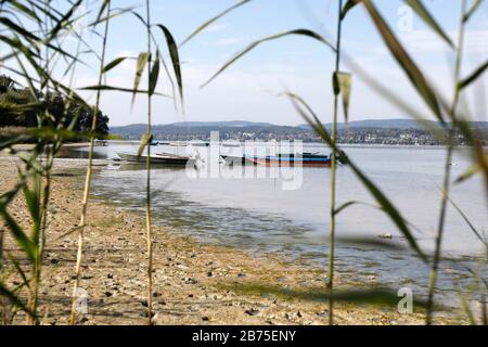 Nach einem Sommer mit wenig Regen ist der Wasserstand am Ufer der Insel Reichau am Bodensee am 18.09.2018 gesunken. [Automatisierte Übersetzung] Stockfoto