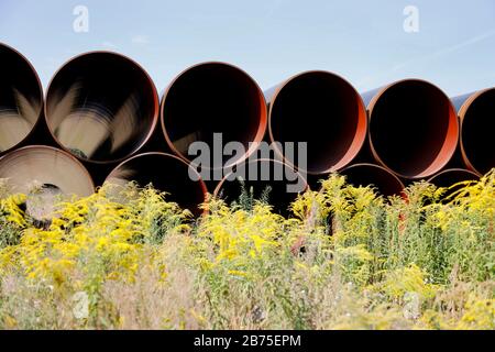 Blick auf die in der Nähe der Stadt Bindow in Brandenburg in einem offenen Lagerbereich gelegenen Pipelines und den Bau der European Gas Link, EUGAL, steht bevor. Die Pipeline soll etwa 480 Kilometer von der Ostsee durch Mecklenburg-Vorpommern und Brandenburg bis in den Süden Sachsens und von dort über die Grenze nach Tschechien führen. Die erste Linie der EUGAL soll bis Ende 2019 fertiggestellt werden. Das Erdgas für EUGAL wird über die Nord Stream 2-Pipeline durch die Ostsee geliefert. [Automatisierte Übersetzung] Stockfoto