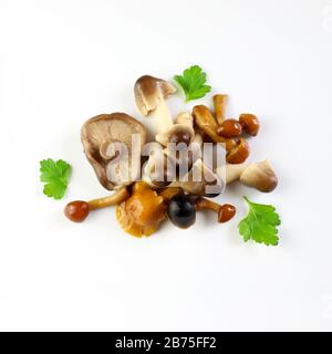 Vegetarisches Konzept und gesundes Essen. Verschiedene marinierte Pilze, isoliert auf weißem Grund. Draufsicht, Kopierbereich. Stockfoto