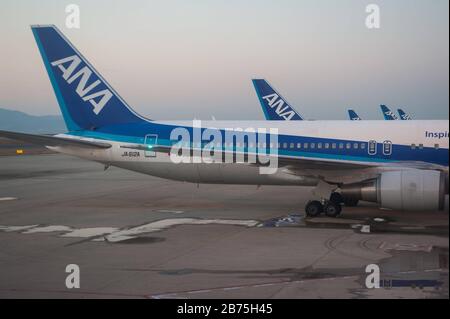 23.12.2017, Osaka, Japan, Asien - Passagierflugzeuge des ANA Parks auf dem Vorfeld des Kansai International Airport. ANA ist Mitglied der Star Alliance, einem internationalen Flugnetz. [Automatisierte Übersetzung] Stockfoto