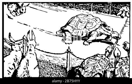 Aesop's Fables, The Hare und The Tortoise, diese Szene zeigt, dass Schildkröte die Ziellinie vor dem Hase überquert und das Rennen gewinnt, Vintage Line Drawing Stock Vektor