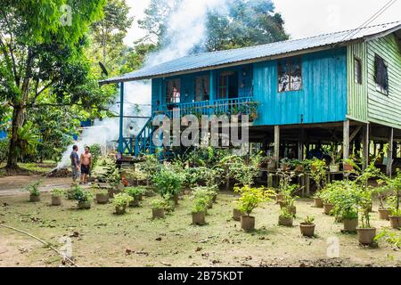 Traditionelles und gemeinsames Stielhaus, das von Regenwaldbewohnern in Borneo, Malaysia, Asien genutzt wird Stockfoto