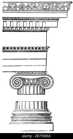 Ionische Ordnung, vierseitig, Kapitell, Standard, wieder eingeführt, Vintage-Linien-Zeichnung oder Gravurzeichnung. Stock Vektor
