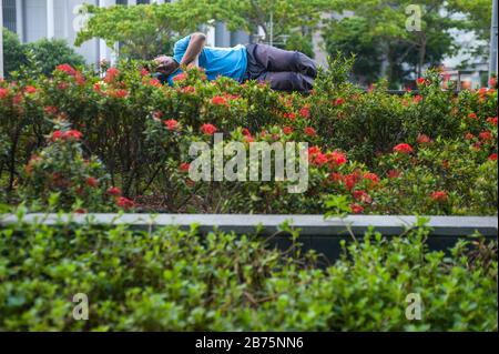 29.09.2017, Singapur, Republik Singapur, Asien - EIN Mann schläft auf einer Bank hinter einer Hecke im Geschäftsviertel von Singapur. [Automatisierte Übersetzung] Stockfoto