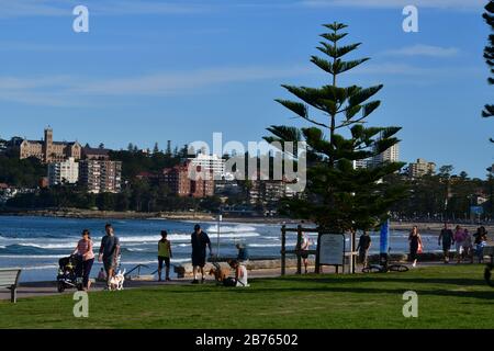 Blick auf Manly Beach auf Sydneys Nordseite Stockfoto