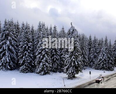 Ein Auto fährt am 28.11.2015 über eine schneebewagte Straße am Torfhaus im Harz. Die Höhenlagen des Naturparks Harz zeigen sich nach den ersten Schneefällen in Winterpracht. [Automatisierte Übersetzung] Stockfoto