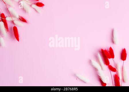 Gratulationskarte mit trockenen, weichen, roten und weißen Blumen Lagurus Ovatus oder Rabbit Tail Gras auf pastellrosa Hintergrund, Kopierraum. Stockfoto