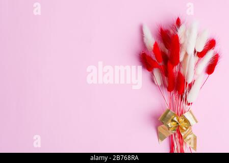 Gratulationskarte mit trockenen, weichen, roten und weißen Blumen Lagurus Ovatus oder Rabbit Tail Gras auf pastellrosa Hintergrund, Kopierraum. Stockfoto