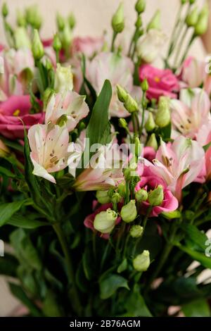 Der nahe Rahmen eines Blumenstraußes aus rosafarbenen Alstroemerias und Eustomas, konzentriert sich auf die nächsten Blumen Stockfoto