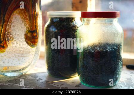 Ungeschrie Sonnenblumensamen in einem Gläser auf einer Fensterbank. Stockfoto