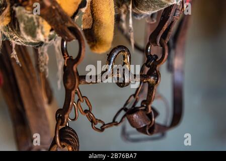 Lederpferd überbrückt und an einem Stall hängende Bits Stockfoto