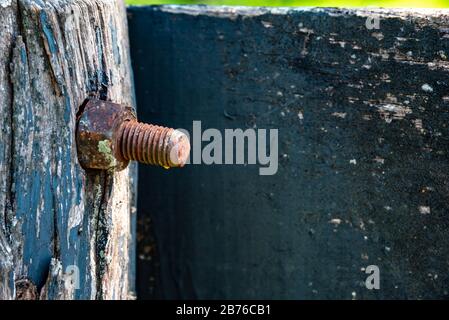Verrostete alte Schraube auf einem alten, grün gestrichenen Holz Stockfoto