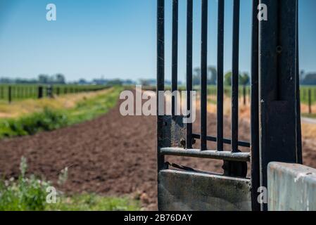 Detaillierte Nahaufnahme mit geringer Schärfentiefe eines grünen und rostigen Starttores von Pferderennen und der Übungsstrecke Stockfoto