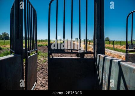 Detaillierte Nahaufnahme mit geringer Schärfentiefe eines grünen und rostigen Starttores, das von Pferderennen und der Übungsstrecke geschlossen wird Stockfoto