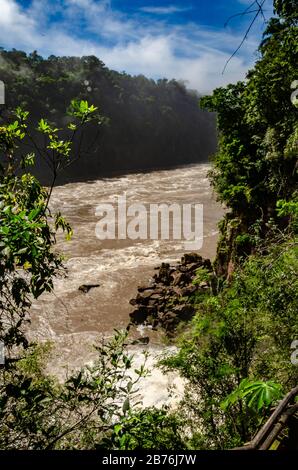 Iguazu fällt Natur in Argentinien mit Blick auf Bäume und den Fluss im Rücken Stockfoto