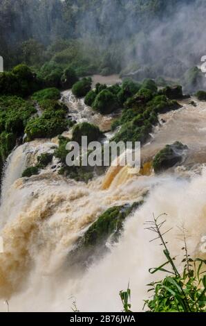 Ein Wasserfall von oben gesehen, ein Teil der Iguazu-Wasserfälle mit umgebender Natur in Argentinien mit Blick auf Bäume und Fluss mit Wassernebel Stockfoto