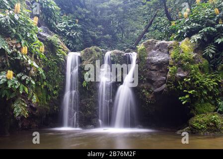 Naturwasserfall umgeben von Felsen und Laub am Parque Natural da Ribeira dos Caldeirões, Insel São Miguel, Azoren. Stockfoto