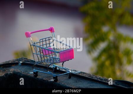 Jaipur India, ca. 2020 - Foto eines Spielzeug-Gepäckwagens aus Metall und Kunststoff. Der Rollwagen hat Punk-Farbe mit nicht fokussierten Bäumen im b Stockfoto