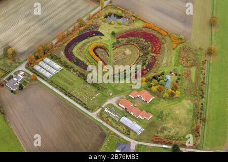 , hättet Plantagen an der Markfelder Str. in Waltrop, 26.10.2012, Luftbild, Deutschland, Nordrhein-Westfalen, Ruhrgebiet, Waltrop Stockfoto