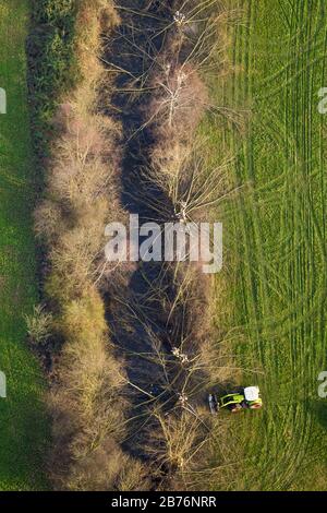 weide, Weide (Salix spec.), Winterschnitt von Pollern Weide an der Ahse, 19.01.2014, Luftaufnahme, Deutschland, Nordrhein-Westfalen, Ruhrgebiet, Hamm Stockfoto