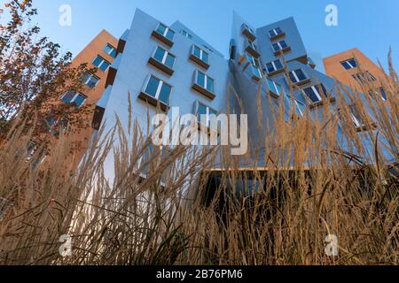 Boston - Cambridge MA 11-2019. - massachusetts Institut für Technologie Stockfoto