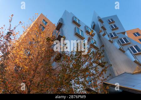 Boston - Cambridge MA 11-2019. - massachusetts Institut für Technologie Stockfoto