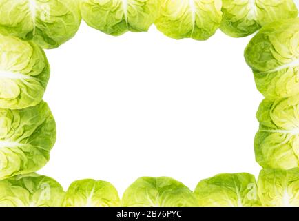 Frischer Salat hinterlässt Rahmen auf weißem Hintergrund Stockfoto