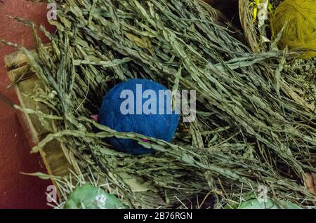 Wurzeln färbten früher blaue Wolle, Chincheros, Peru Stockfoto