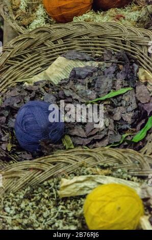 Blätter, die zum Färben von blauer Wolle, Chincheros, Peru verwendet wurden Stockfoto