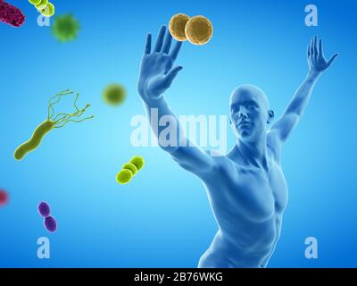 Immunsystem, konzeptionelle Computerdarstellung. Stockfoto