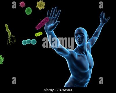 Immunsystem, konzeptionelle Computerdarstellung. Stockfoto