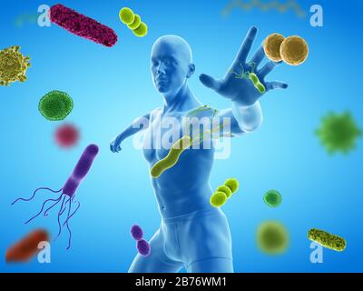 Immunsystem, konzeptionelle Computerdarstellung. Stockfoto