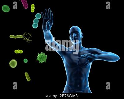 Immunsystem, konzeptionelle Computerdarstellung. Stockfoto