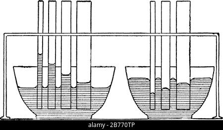 Auf der linken Seite ist Wasser in den kleineren Röhren durch Adhäsion höher. Rechts hat Quecksilber aufgrund seiner zusammenhängenden Eigenschaften den gegenteiligen Effekt, V Stock Vektor