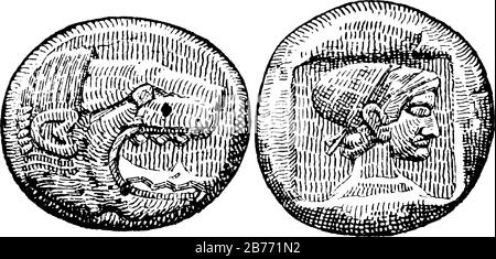 Die obverse und die umgekehrte Seite einer der ältesten Münzen. Es zeigt altgriechisches Geld in drei Bildern, Vintage-Linien-Zeichnung oder Gravur Stock Vektor