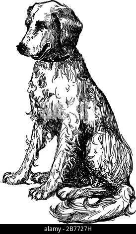 Ein goldener Retriever sitzt, zeigt darin einen Hund in drei verschiedenen Bildern, zeigt den einzelnen Dag in drei Bildern darin sitzend, Vintage-Linie Stock Vektor