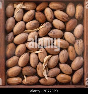 Pecan-Nüsse auf einer Schachtel mit einigen getrockneten Blättern dazwischen Stockfoto