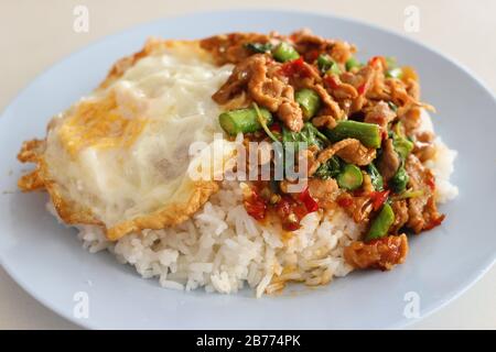 Kao-Pad-Kra-Prao (thailändisches Wort), würzige Speisen, Chiligerichte oder thailändischer Reis mit Schweinefleisch und Basilikum, thailändische Straßennahrung Stockfoto