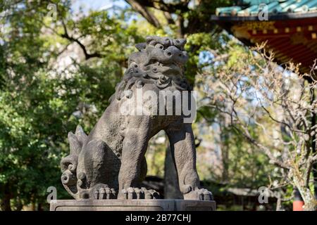 Guardian Lion, Nezu Shrine, Bunkyo-Ku, Tokio, Japan Stockfoto