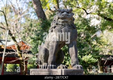 Guardian Lion, Nezu Shrine, Bunkyo-Ku, Tokio, Japan Stockfoto