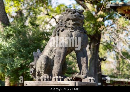 Guardian Lion, Nezu Shrine, Bunkyo-Ku, Tokio, Japan Stockfoto