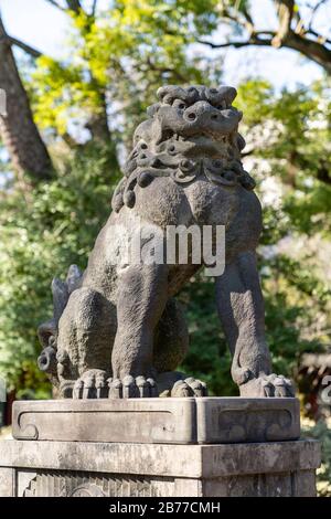 Guardian Lion, Nezu Shrine, Bunkyo-Ku, Tokio, Japan Stockfoto