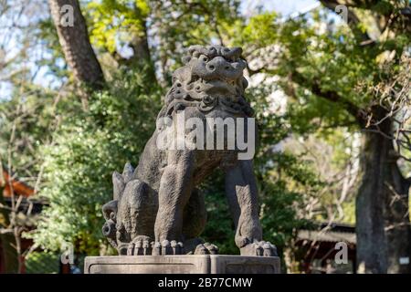 Guardian Lion, Nezu Shrine, Bunkyo-Ku, Tokio, Japan Stockfoto