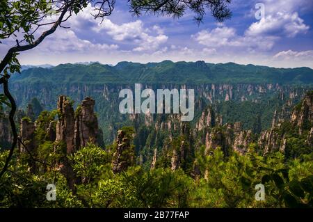 Blick in die Scenic and Historic Interest Area von Wulingyuan in der Provinz Hunan, China. Die Gegend war angeblich eine Inspiration für die Landschaft im Avatar-Film. Stockfoto