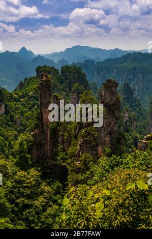 Blick in die Scenic and Historic Interest Area von Wulingyuan in der Provinz Hunan, China. Die Gegend war angeblich eine Inspiration für die Landschaft im Avatar-Film. Stockfoto